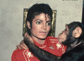 ̽��Ƶ������ӳ��MJ���������ݡ�